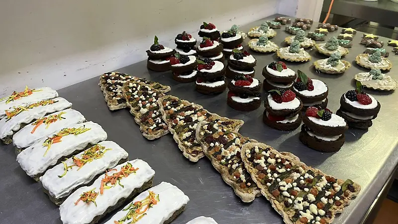 PaChu comida para perritos