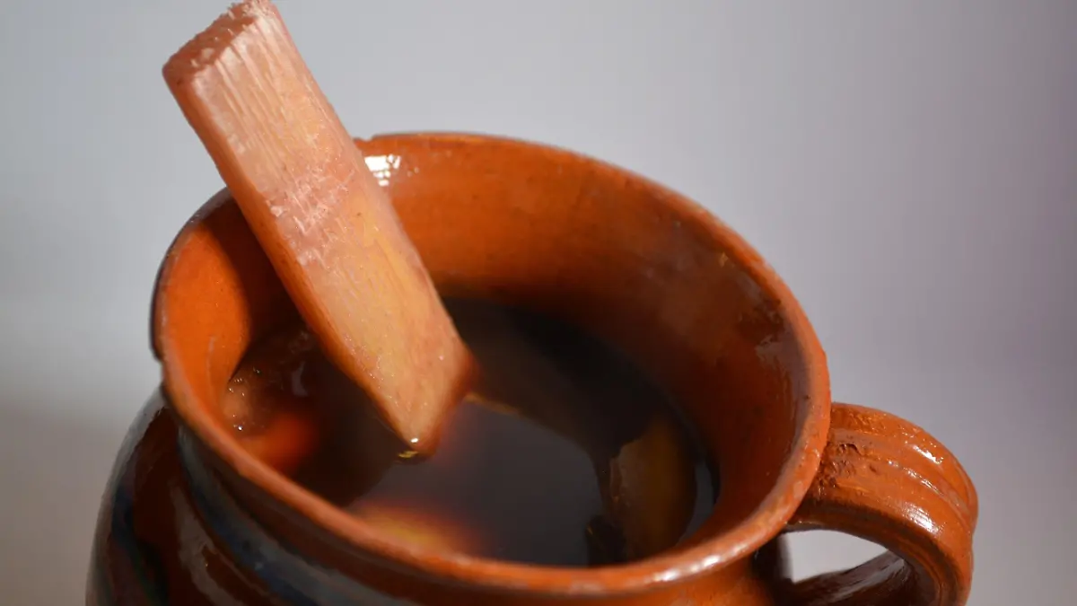 Ponche ProtoplasmaNino en wikimedia