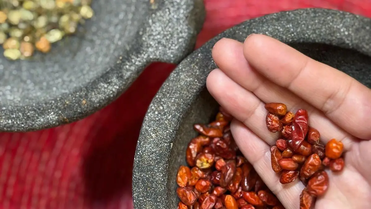 Los chiles más antiguos en México 2