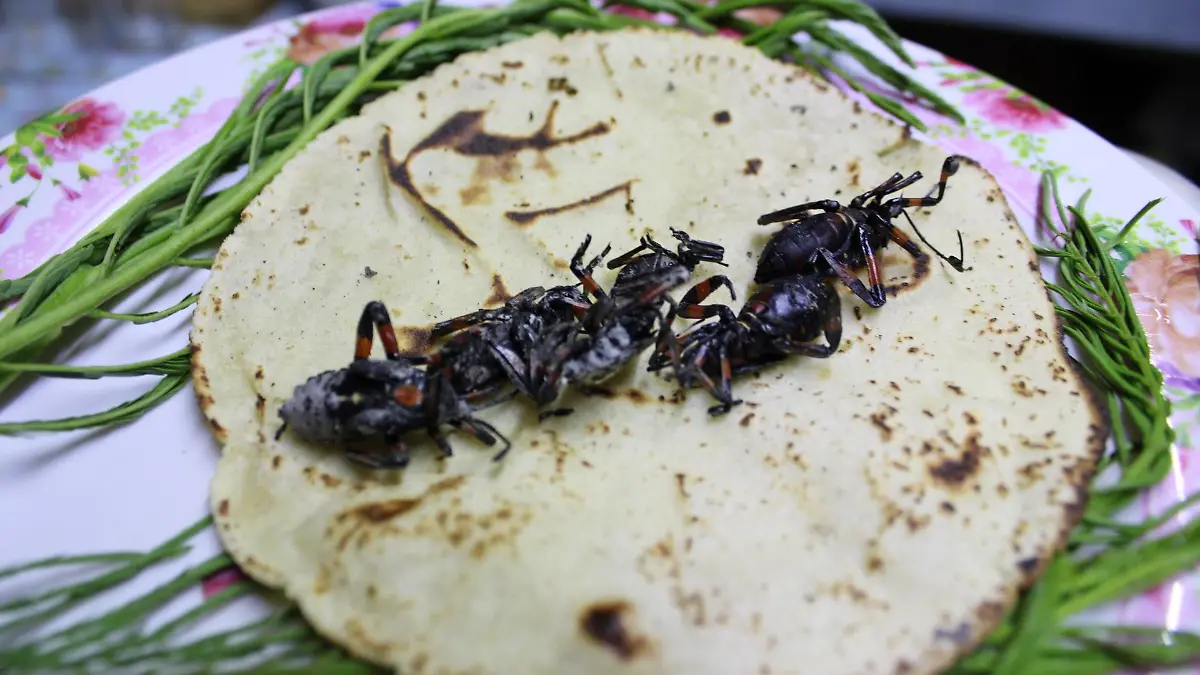 Foto. Arturo Aguilar