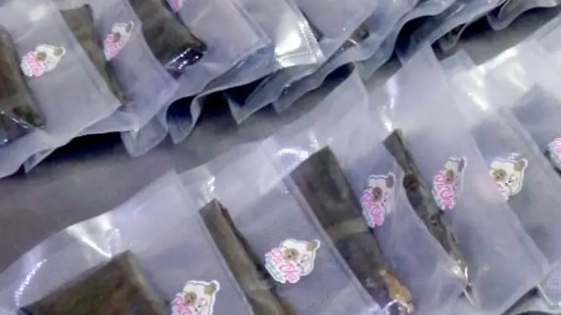 PaChu snacks para perritos