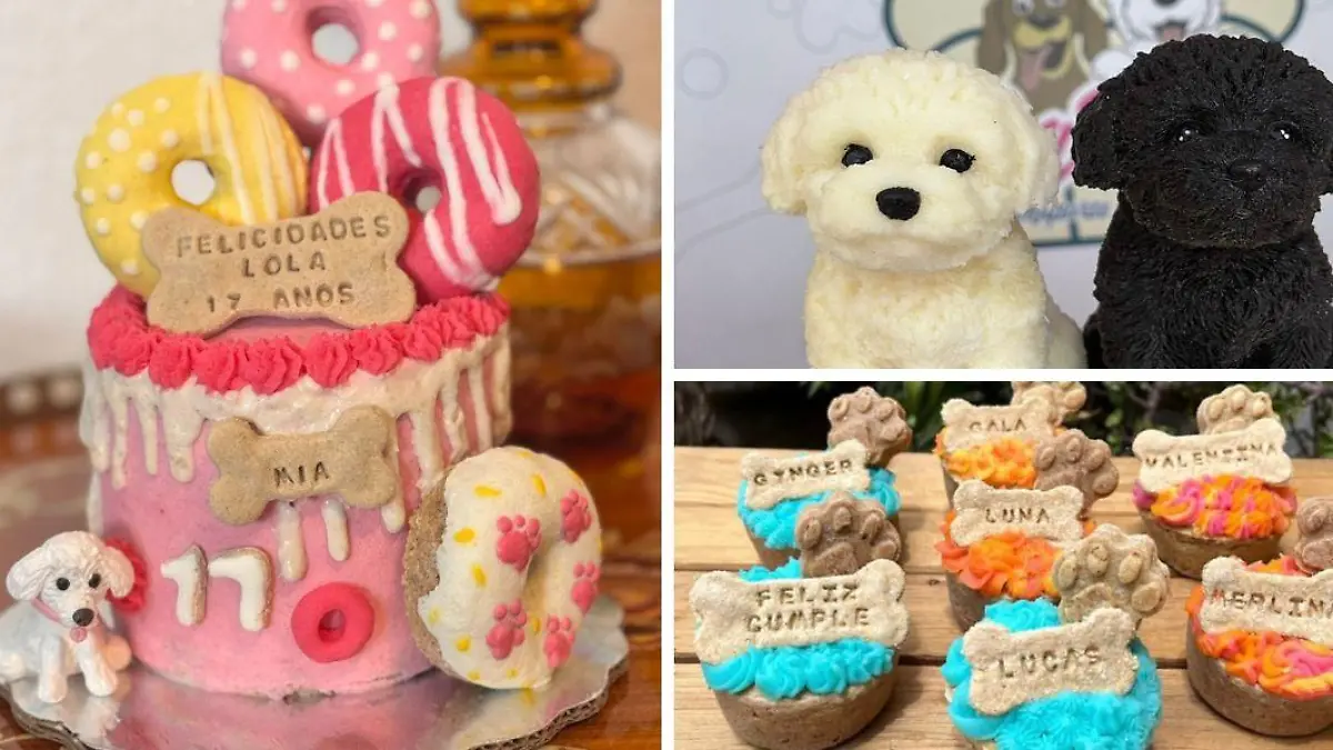 Fotos: Cortesía PaChu