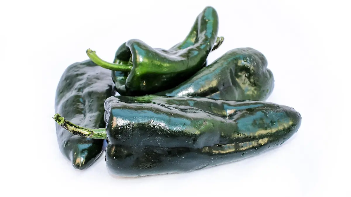 chile poblano 4466725 1920