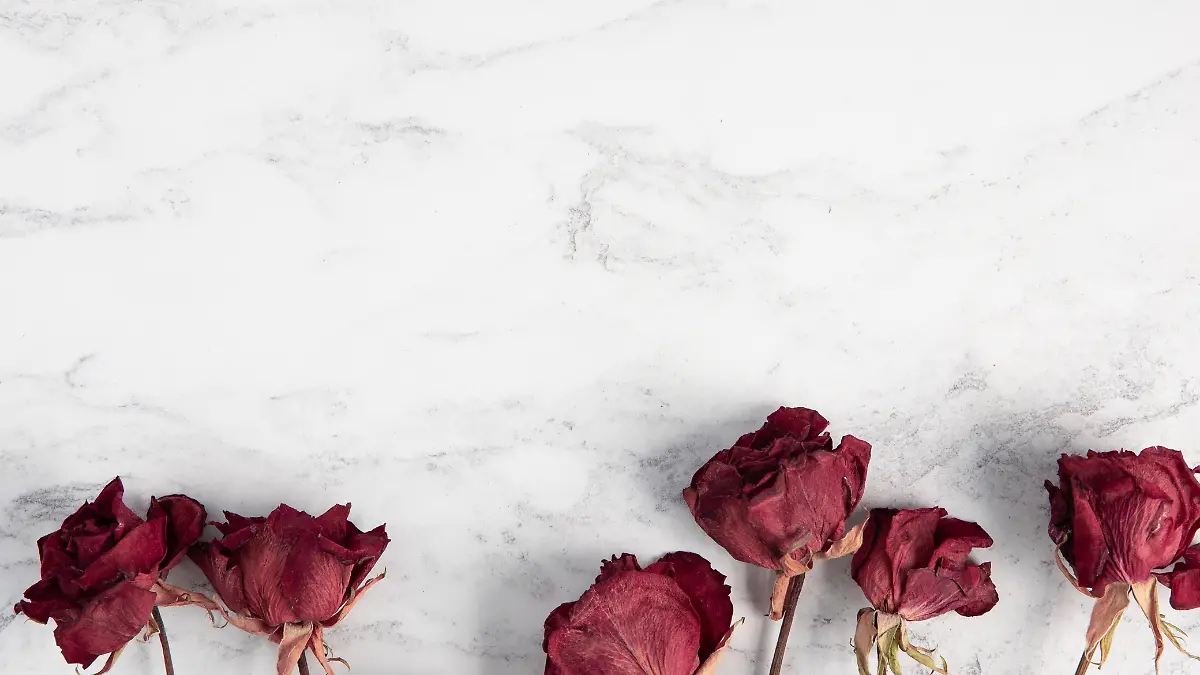 georgia de lotz grw2DRoqLAU unsplash