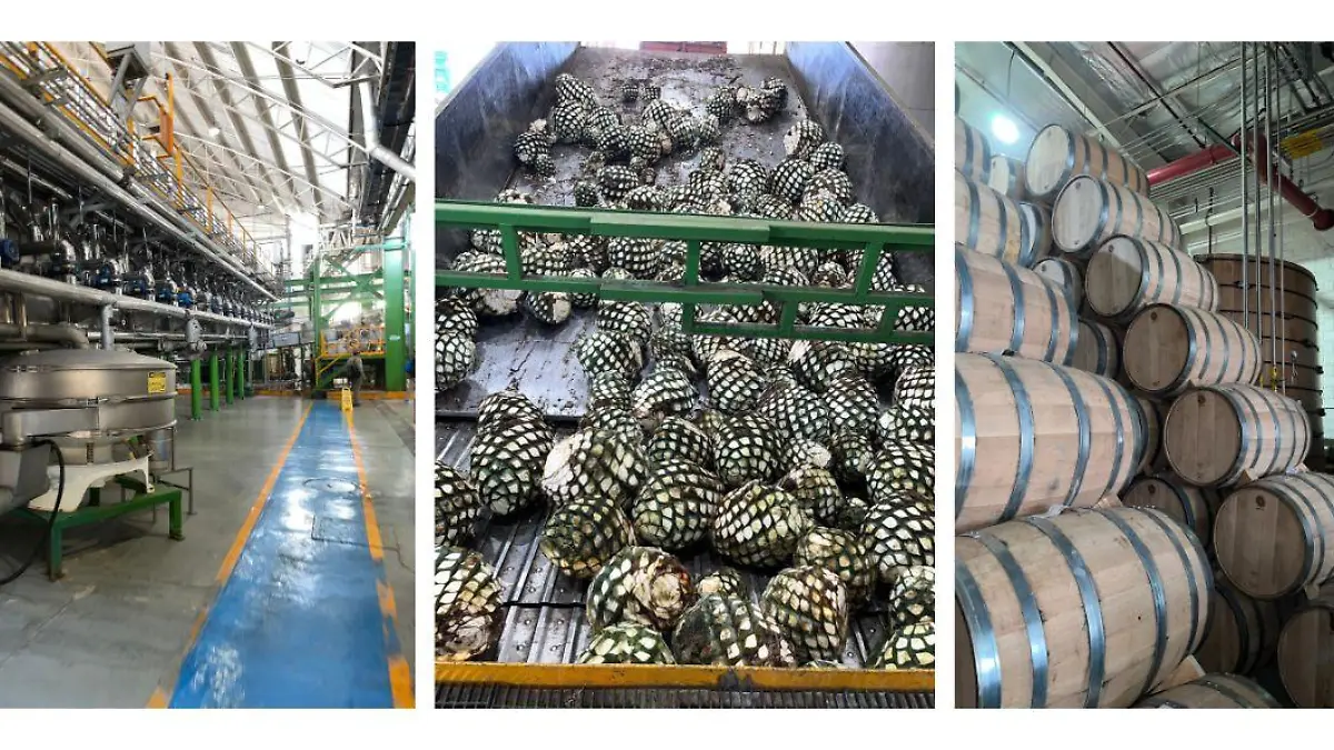 4 Aderezo Tequila Express Guadalajara