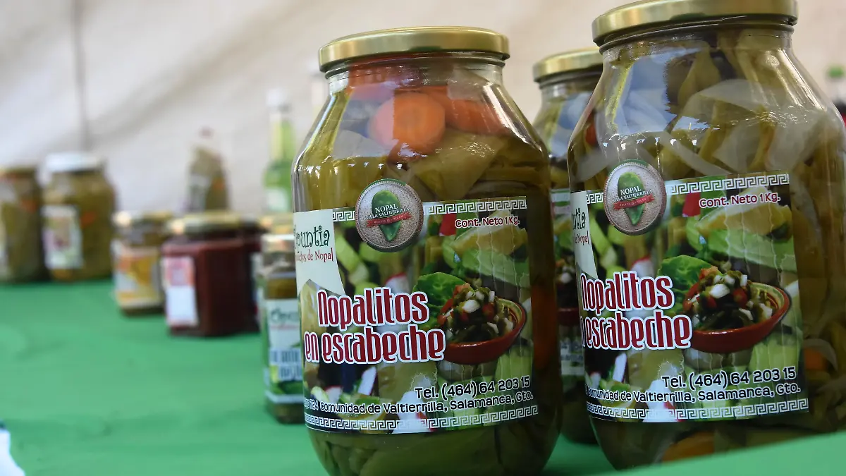 SALAMANCA   Circuito del nopal, el atractivo escondido de Salamanca (11)