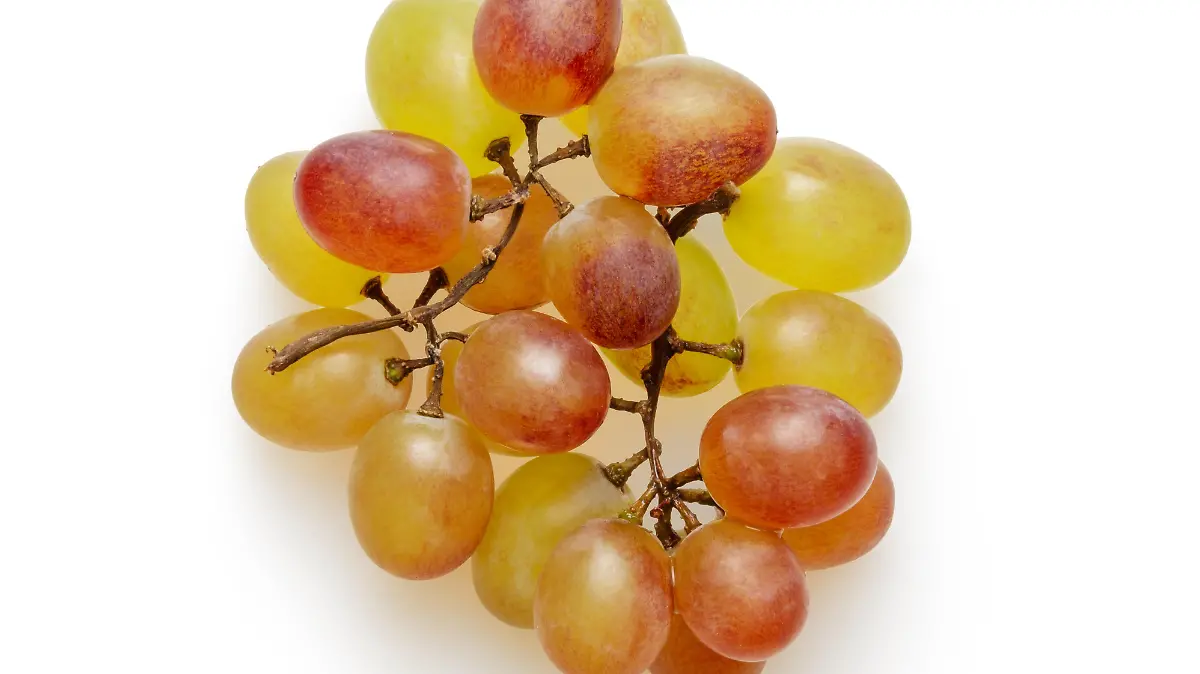 otoñomockup graphics KfX5c9TxYPg unsplash