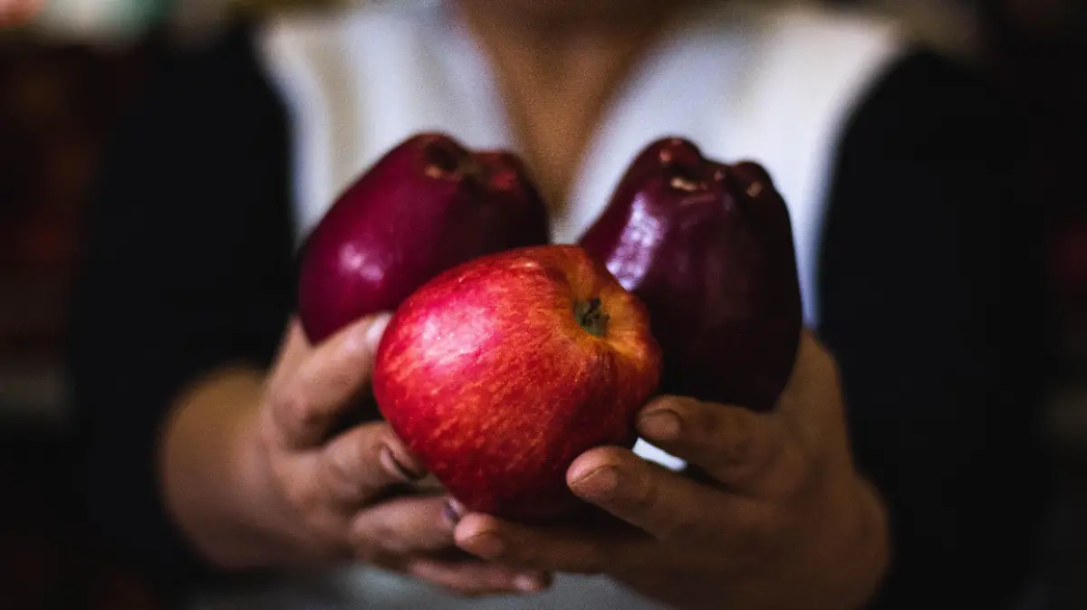 romina veliz tJGP2RWZOQc unsplash 1