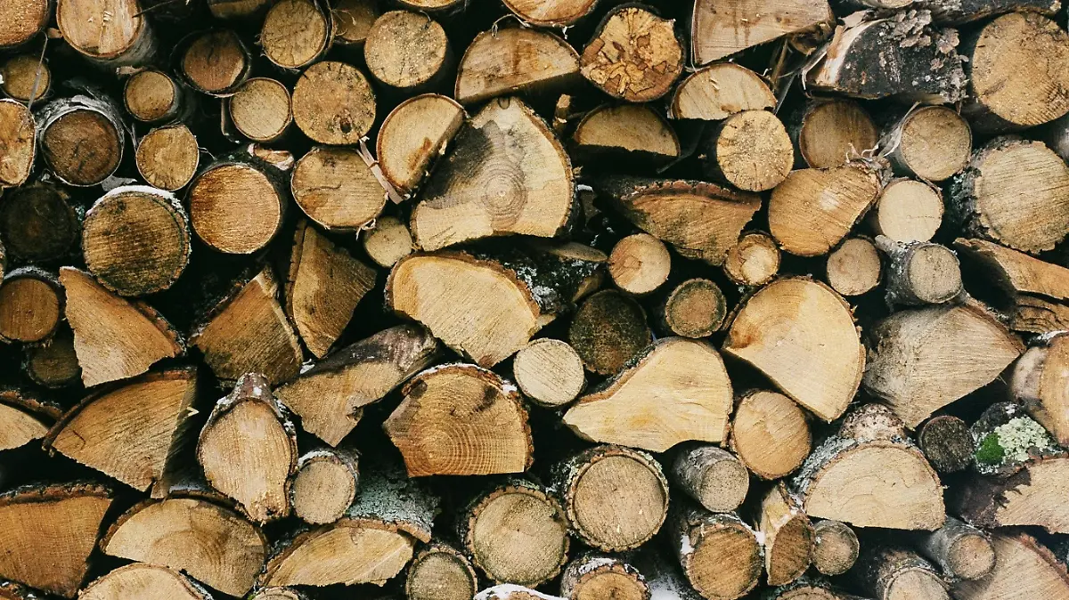 guillaume jaillet TfoMPkUixxo unsplash 1