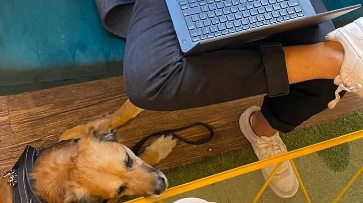 WhatsApp Image 2022 04 27 at 5.41.29 PM