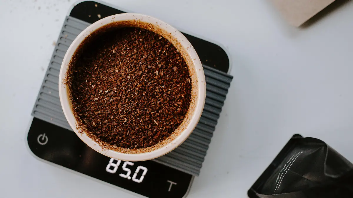 wade austin ellis CCofpiZeMbs unsplash