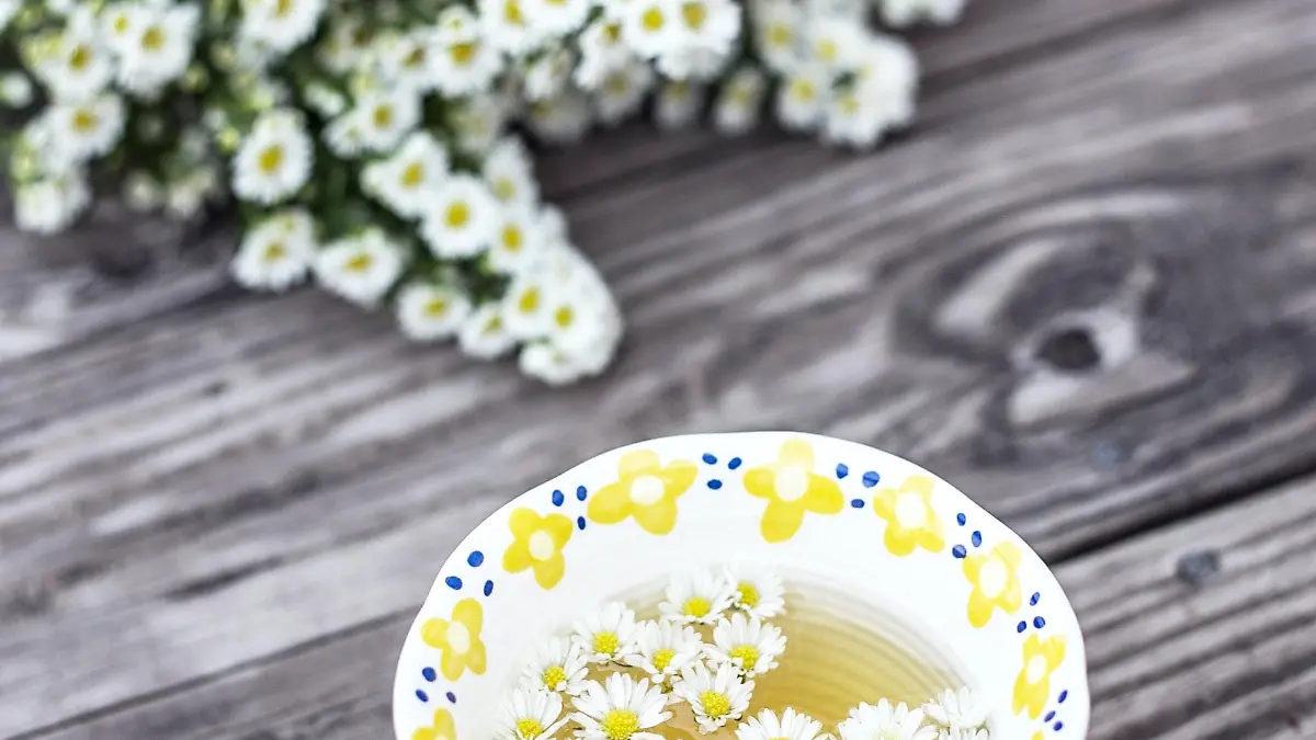 ornella binni ZoCwTGO8bJI unsplash 1