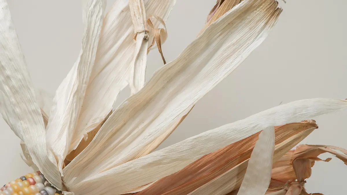 pexels maria orlova 4946380