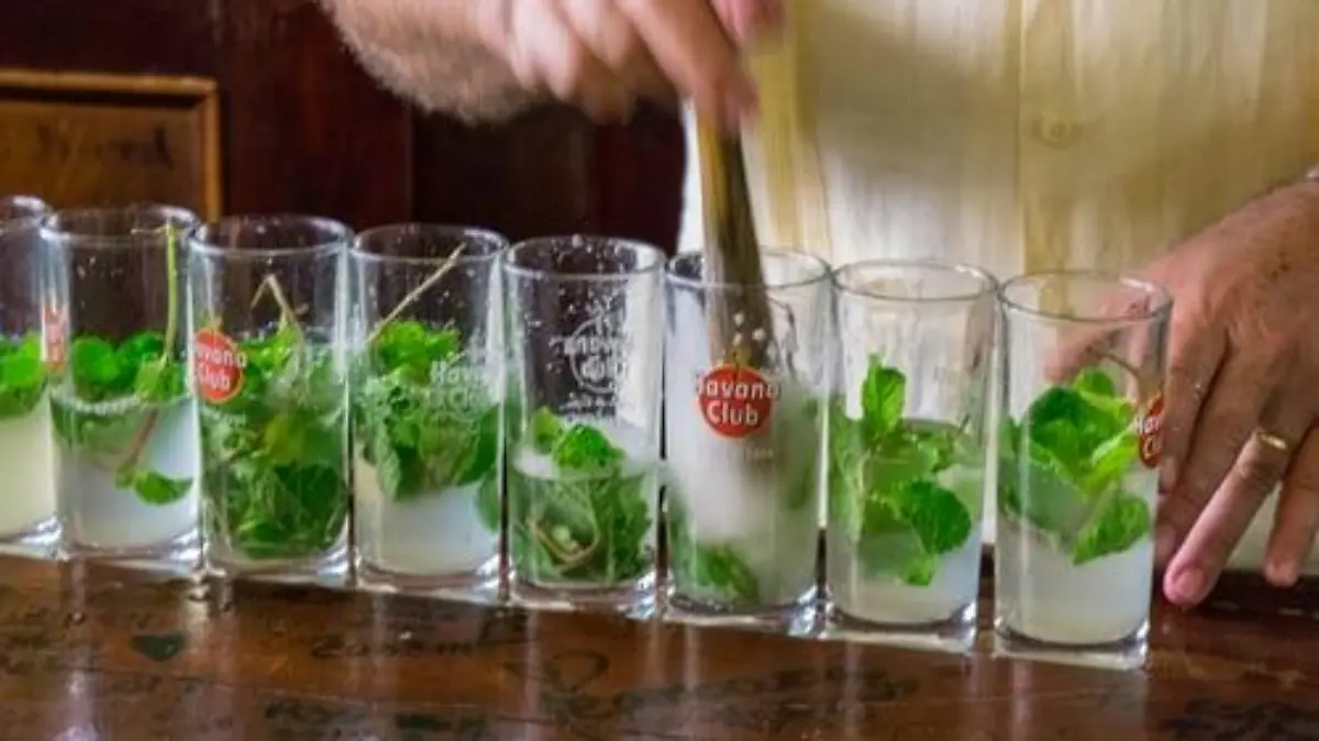 photo 1570036394455 f3f3f281e403