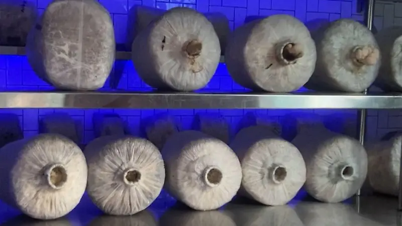 5d498dba bbad 4fab bd70 ed423c237d9d