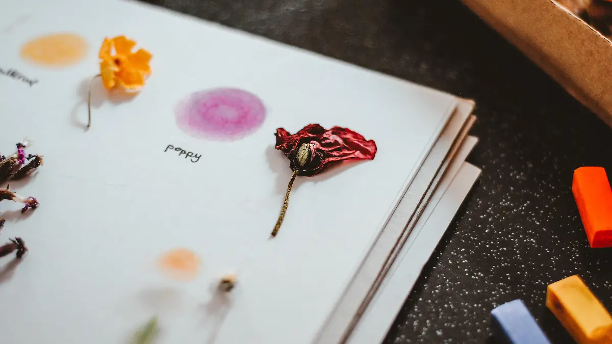 hello i m nik uU1dQJwLUSQ unsplash