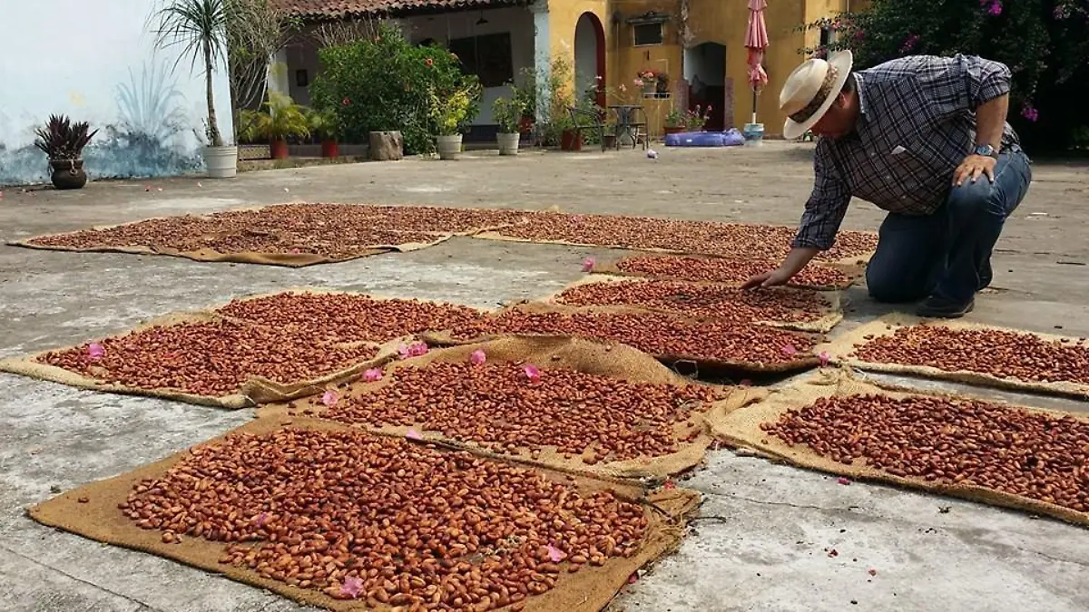 12994335 1089334101108188 7010282412326306480 n