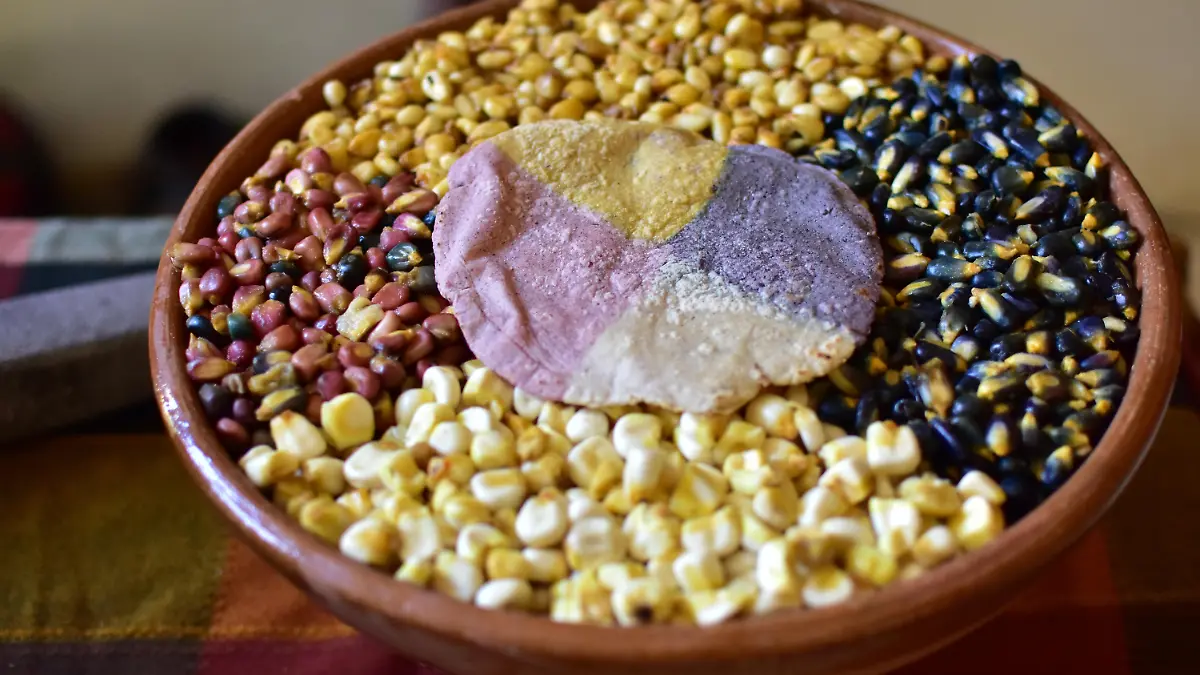 TORTILLA DE COLORES (1)