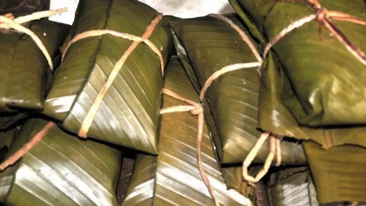 tamal oax