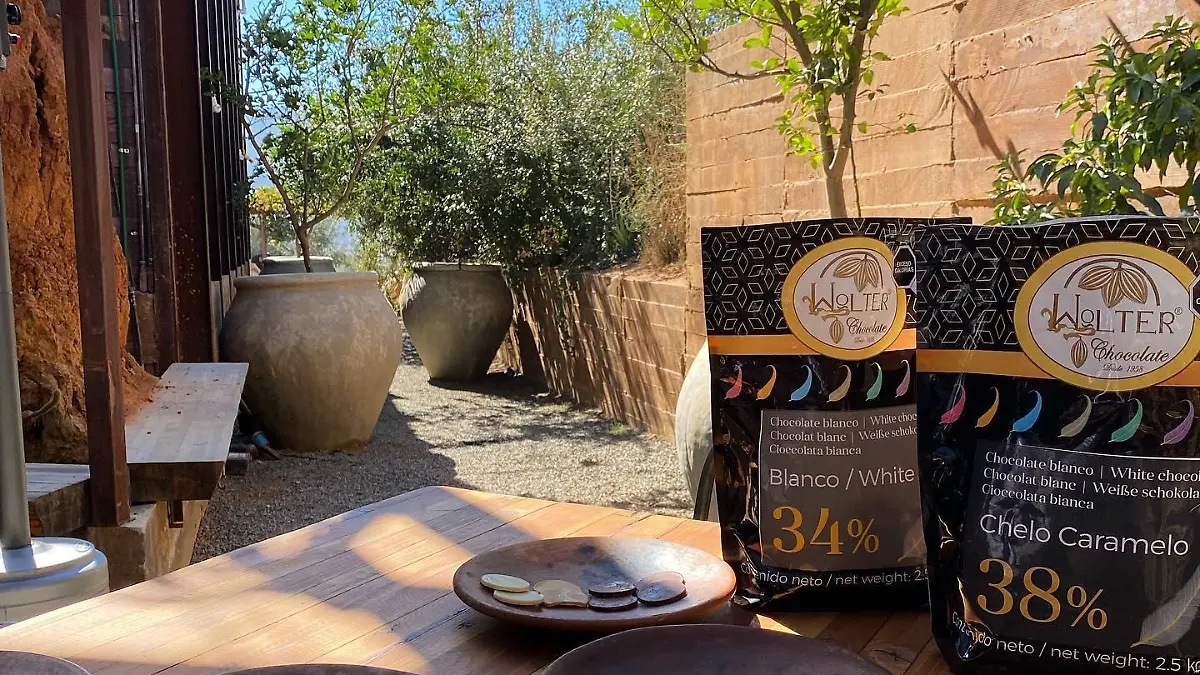 259650118 6481795835195294 4591237571395200699 n