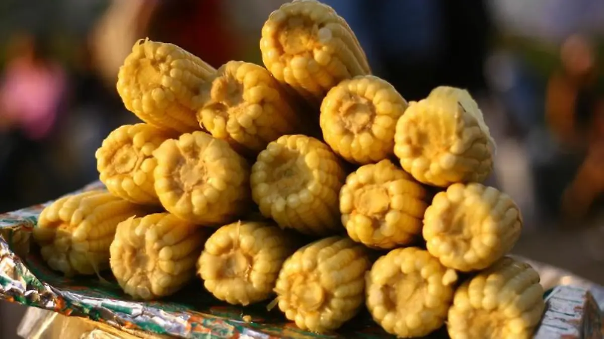 392924779 0439cd853c c