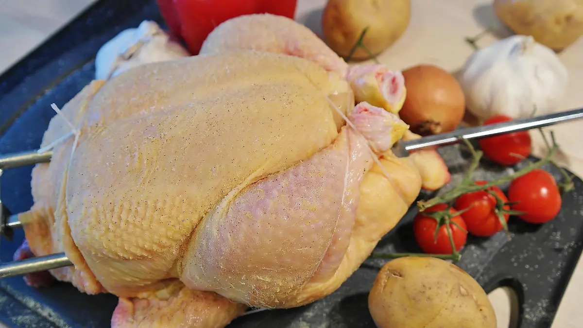 chicken 1884873 1920