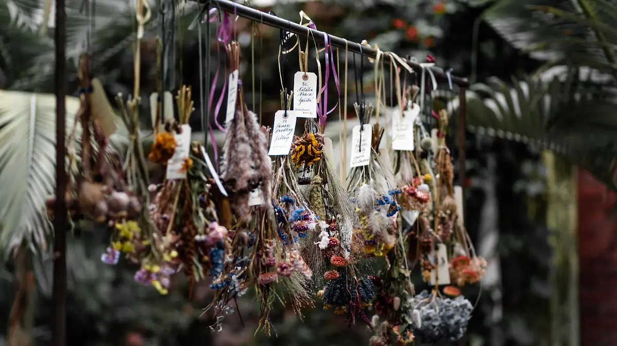 stories  U7yopkOG Y unsplash