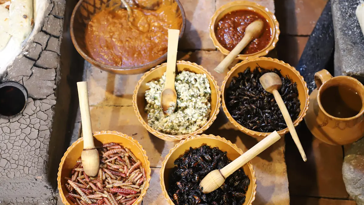 GASTRONOMIA HIDALGUENSE F BEG 1