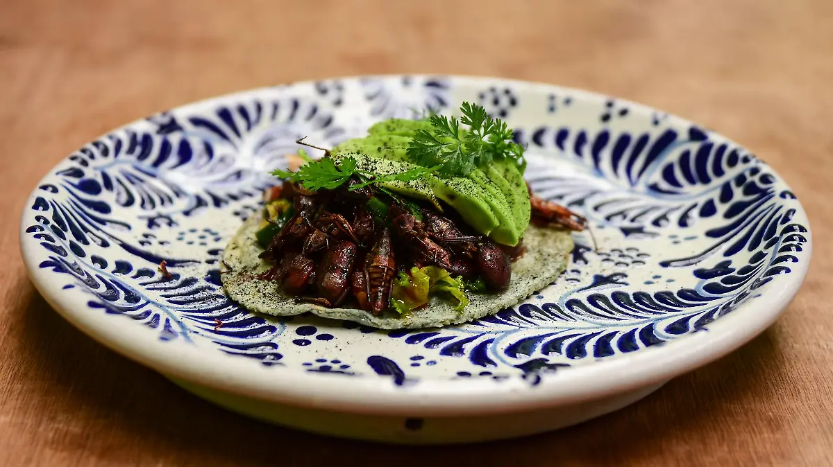 Ceviche de frijol y chapulines 2