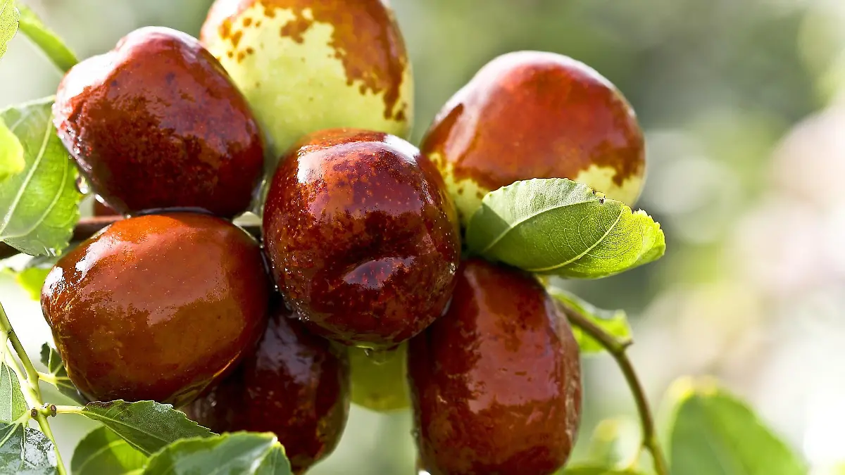 red dates gb3a3639e9 1920 1