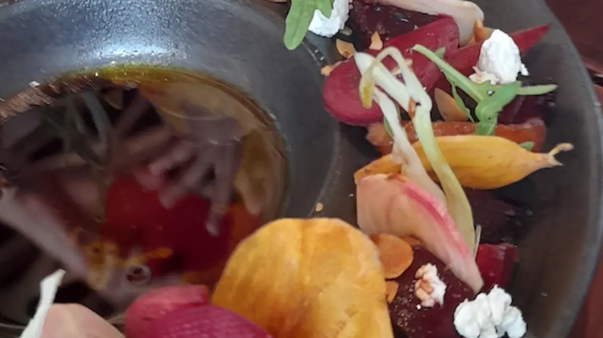 Captura de pantalla 2022 07 19 a las 9.08.31 a.m.