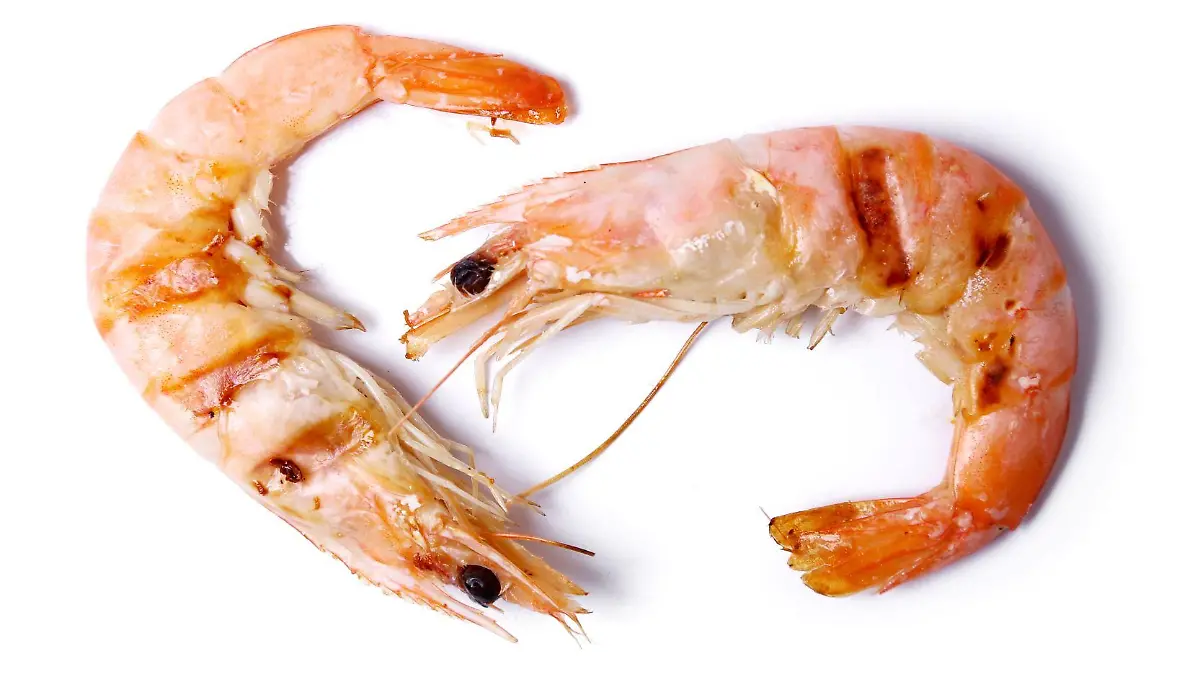 delicious shrimps 123