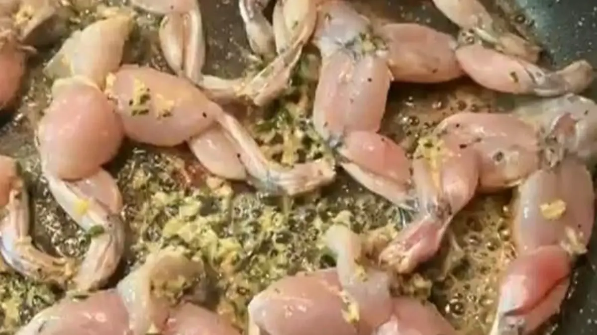 WhatsApp Image 2023 01 17 at 6.23.57 PM 1