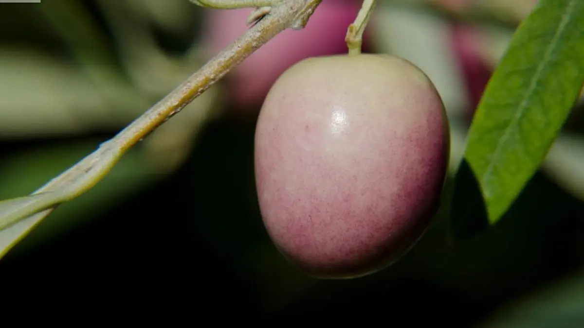 15936409641 fc50b94455 b 123