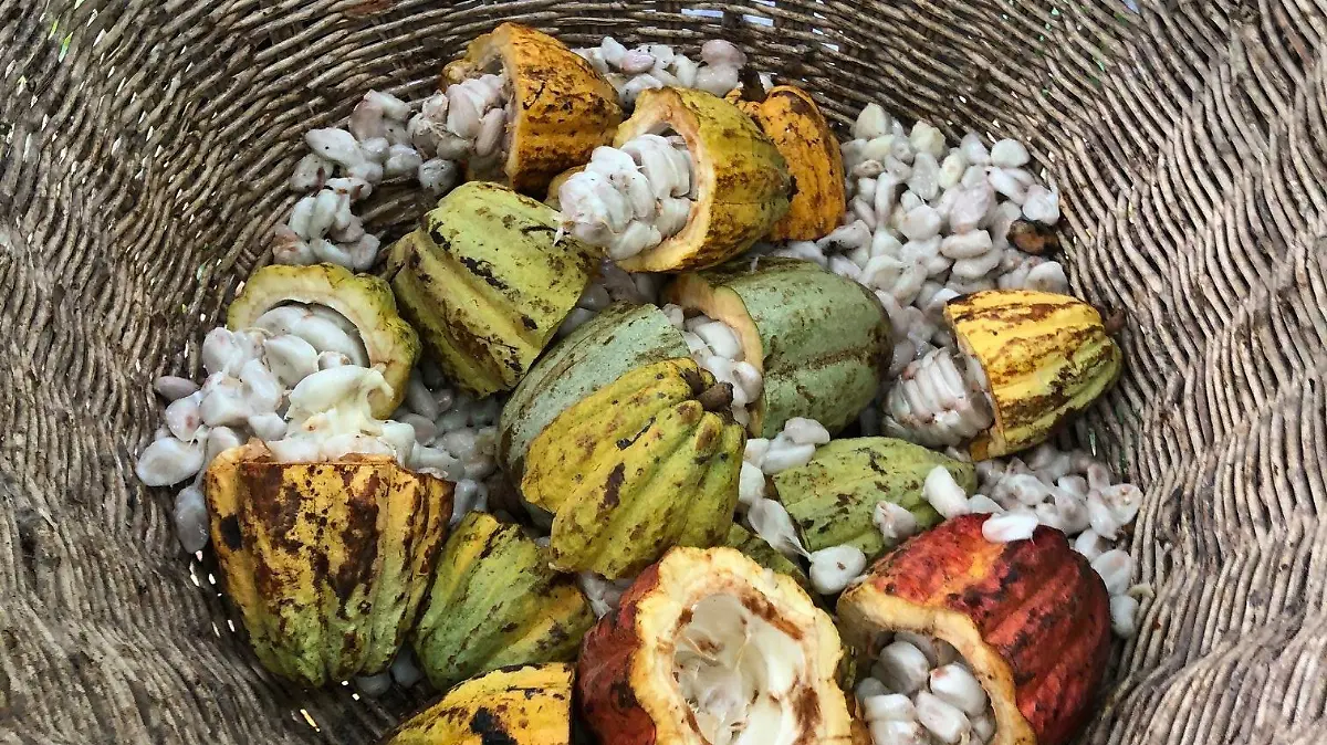 164149082 1638419913016476 5847450242805209124 n 1