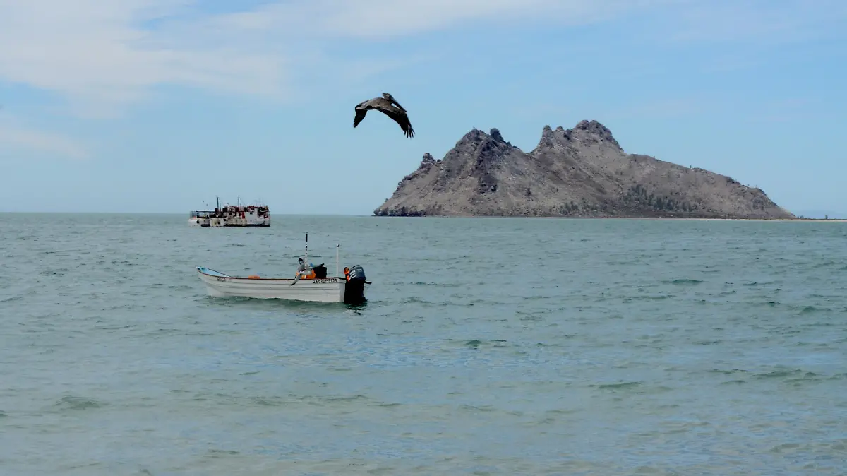 Pescadores Bahia de Kino Carlos Villalba 21