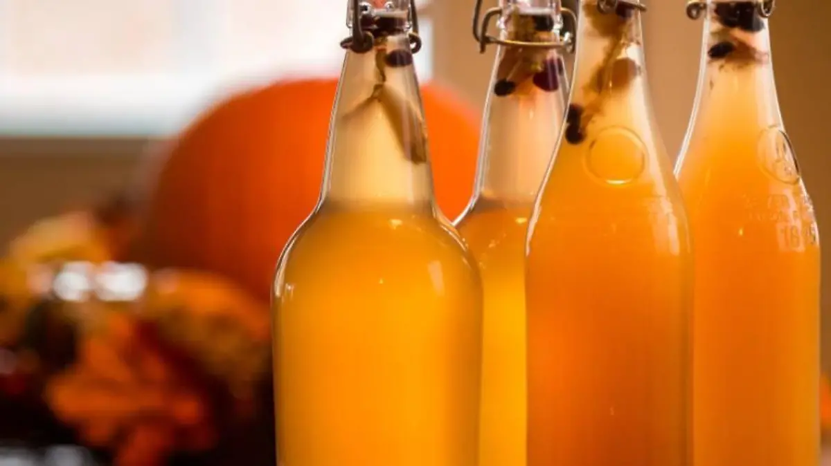 kombucha en el Bazar Gourmet