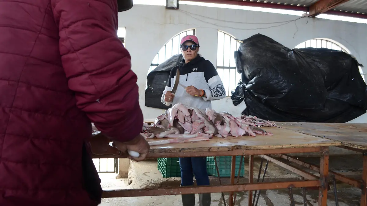 Pescadores Bahia de Kino Carlos Villalba 46