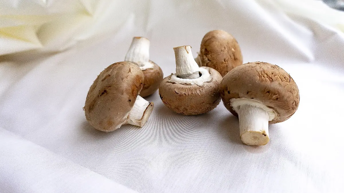 champignons g017055ace 1920