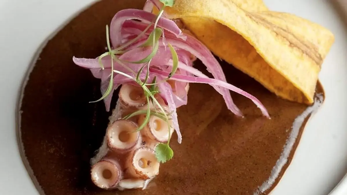 Mole de fiesta