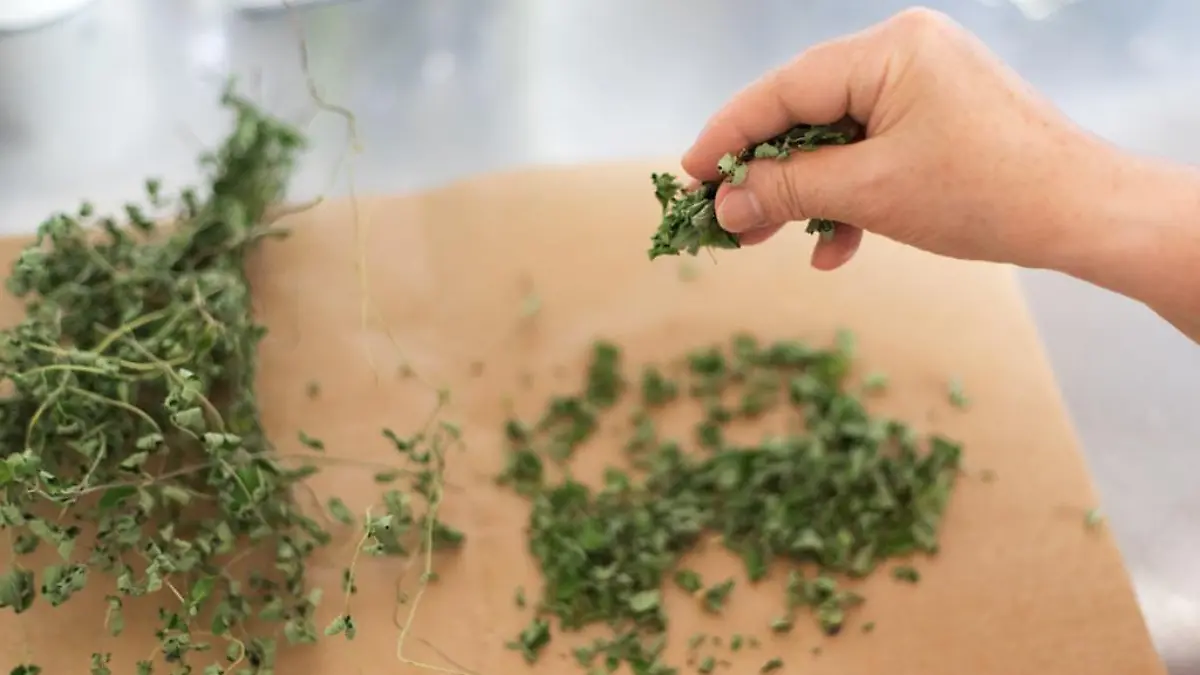 20816610883 30b8f0e84c b