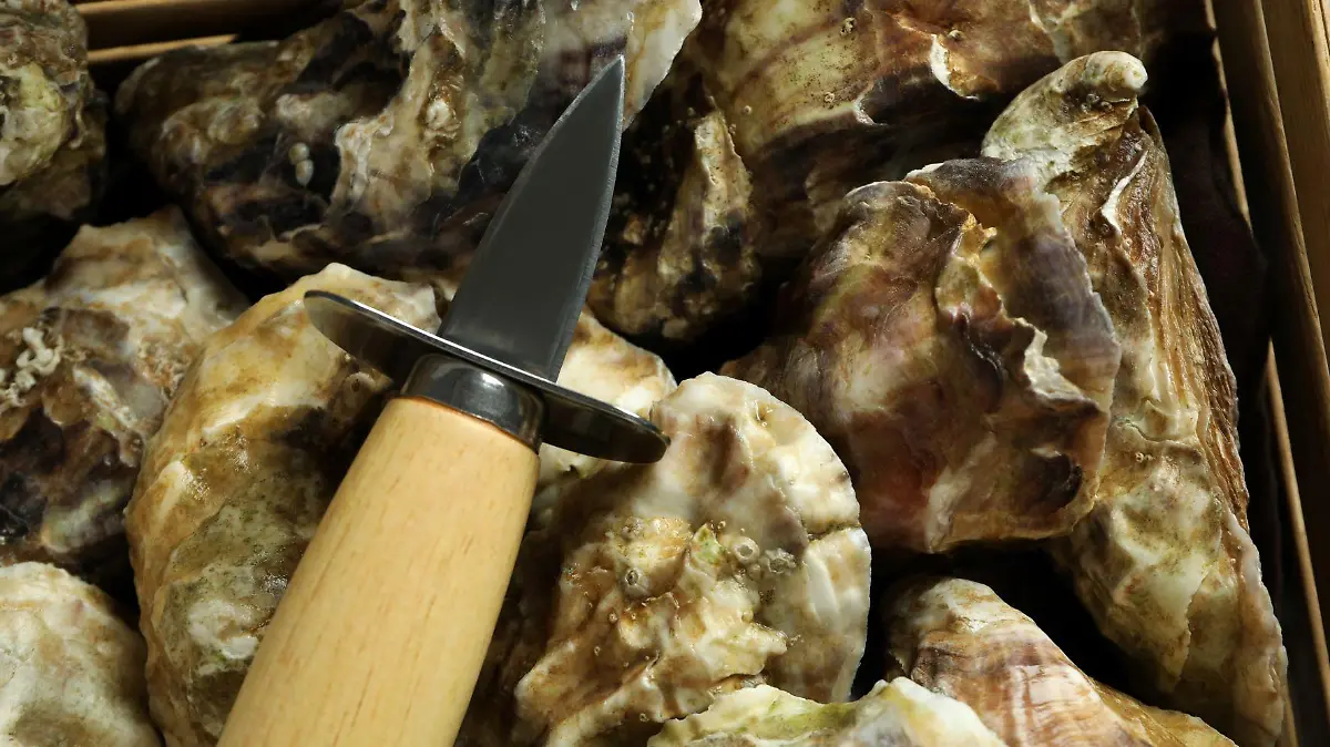 concept of delicious seafood oysters close up 123