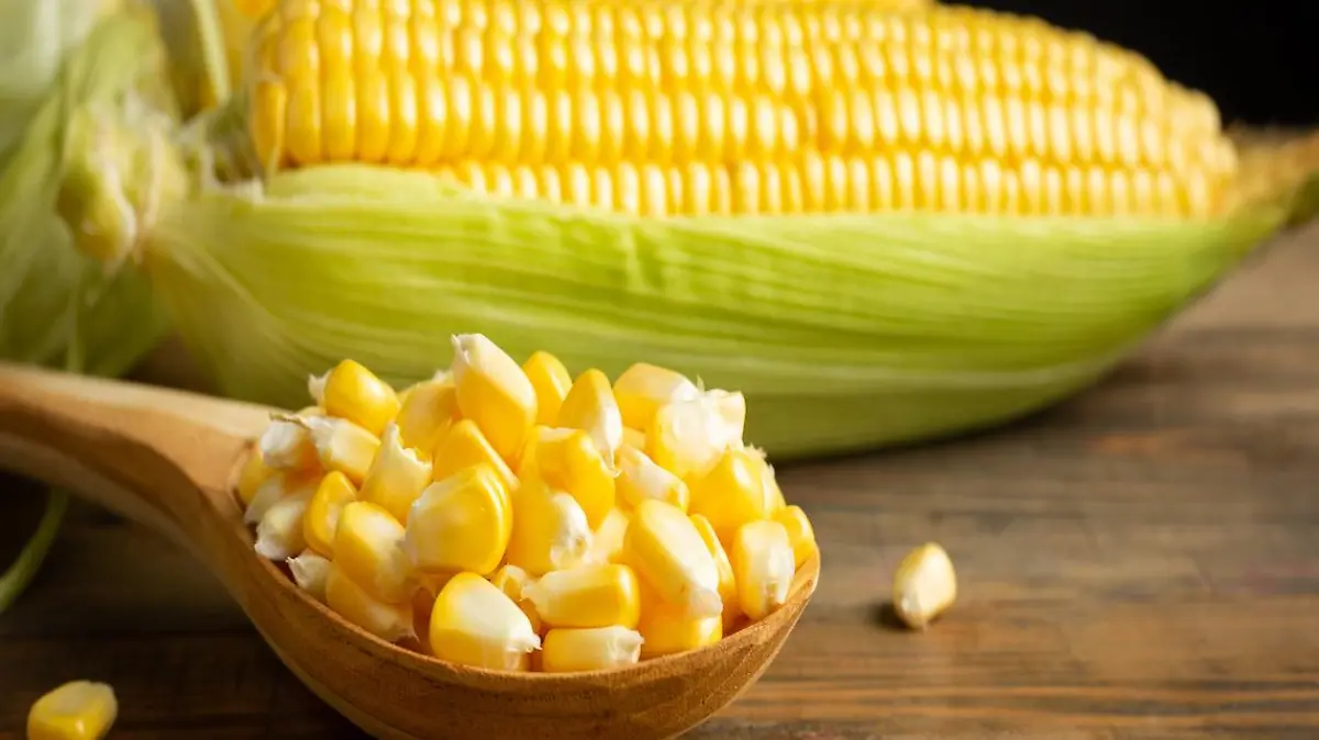 seeds and sweet corn on wooden table.