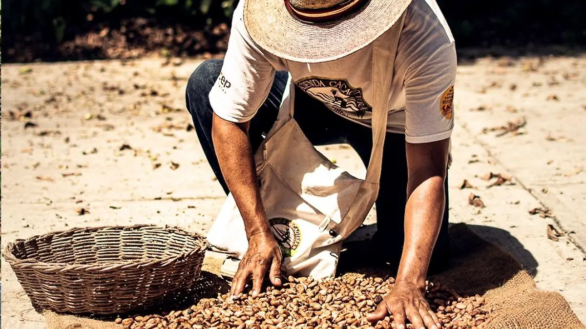 182693706 1666513273540473 4523923916434532420 n