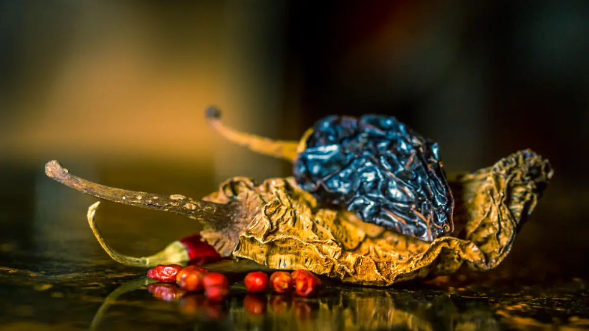 Captura de pantalla 2022 09 28 a las 14.09.01