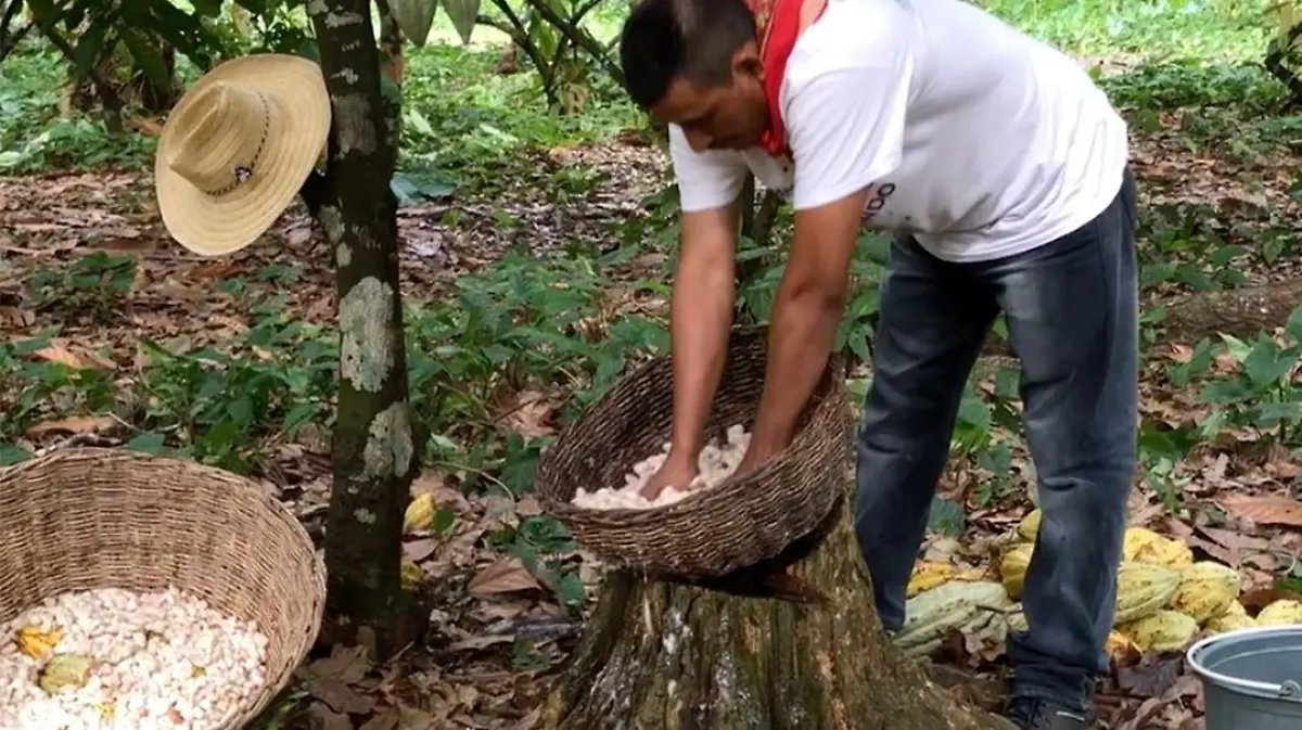 182468423 1666513266873807 9097414364982371133 n