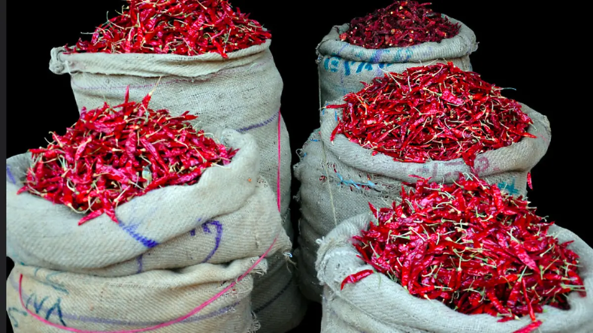 Captura de pantalla 2022 09 28 a las 13.43.29