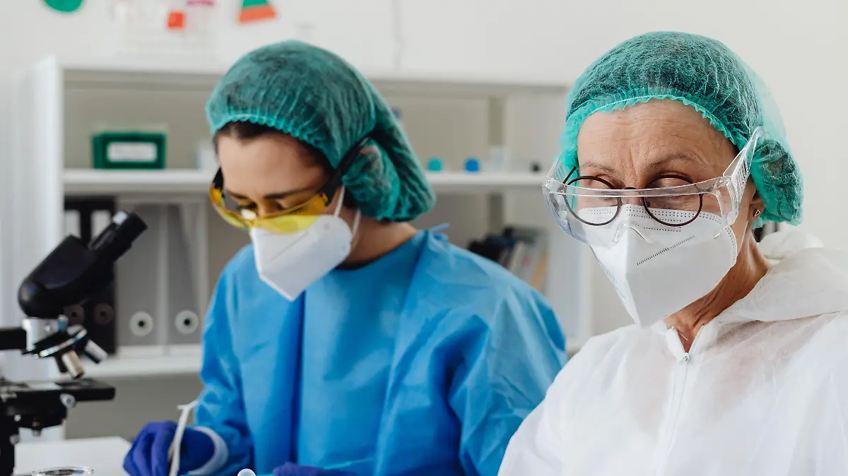 pexels karolina grabowska 8539814