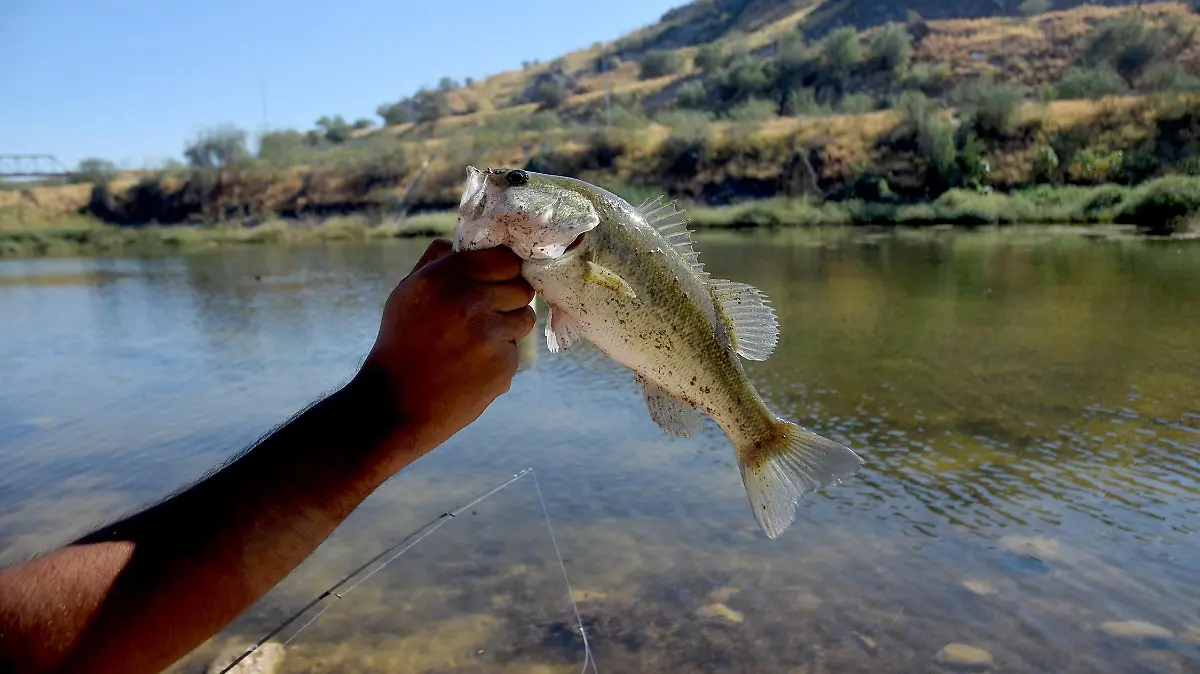 1 pesca CARLOS VILLALBA