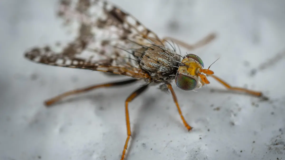 pexels egor kamelev 7975076